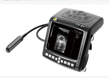 B/w-Scanner die van de de Scanner de Dierlijke Ultrasone klank van de Palmultrasone klank voor het Controleren van Merrie en het Bevestigen van Zwangerschap gebruiken
