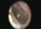 3.5“ Volledige van de het Onderzoekseenheid van Kleurentft lcd Digitale Video ENT van de het Oorkeel de Huid Kenmerkende Reeks van Nosal