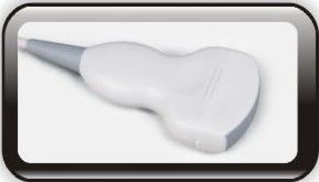 Van 15 Duim LEIDEN de Kenmerkende Menselijke Scanner van de de Machineultrasone klank Kleurendoppler met 2 Sondeverbinding