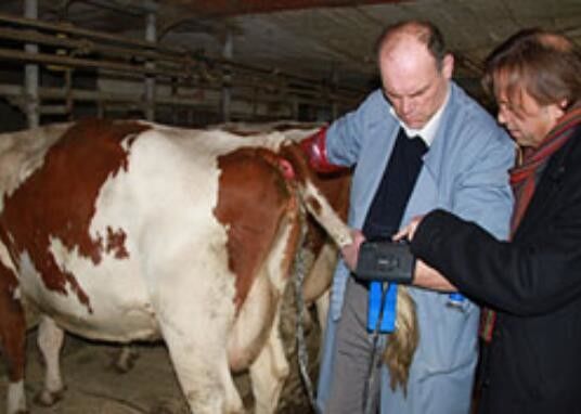 Digitale ultrasoon scanner voor dierenartsen