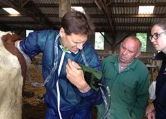 Mini-ecografische scanner voor dierenartsen